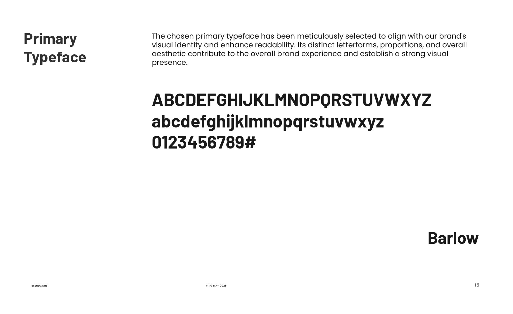 BlendCore Visual Guideline_Artboard 15