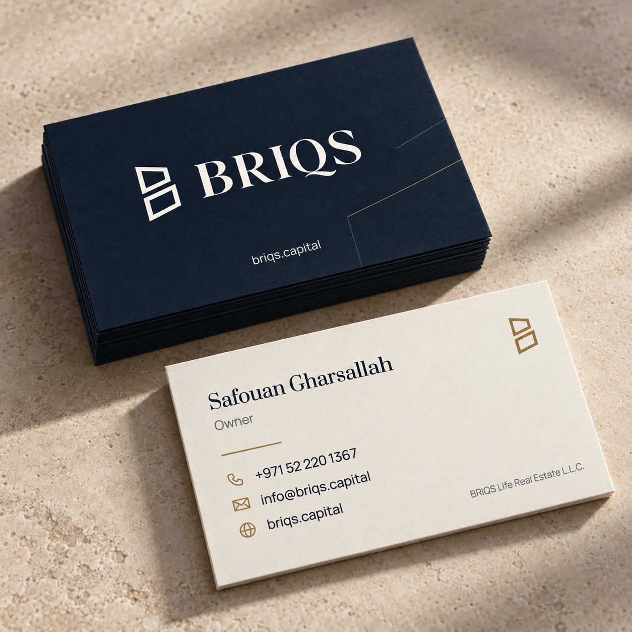 BRIQS business card mockup